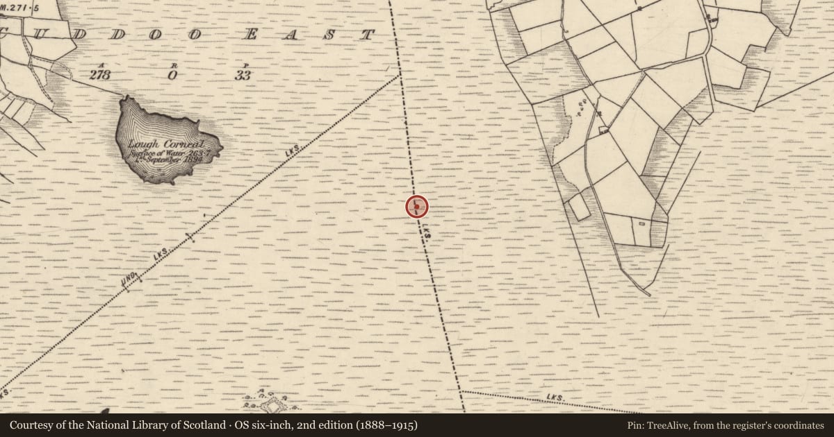 Ordnance Survey six-inch map, 2nd edition (1888–1915) covering the location of Boundary mound, Colmanstown, Derroogh, County Galway, with a pin at the register's coordinates
