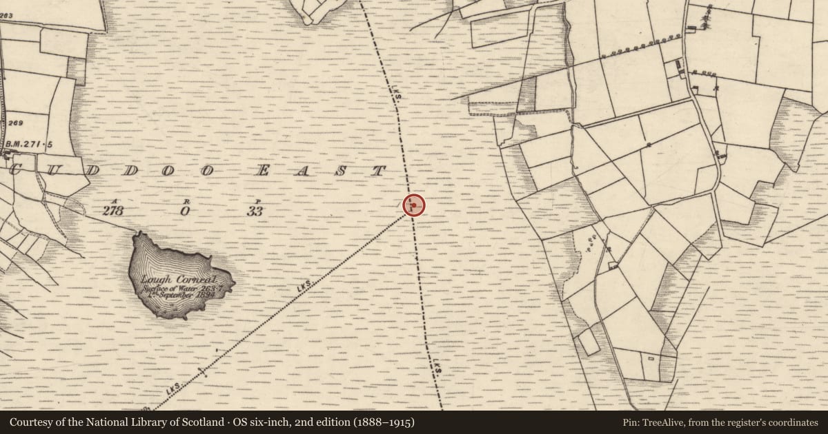 Ordnance Survey six-inch map, 2nd edition (1888–1915) covering the location of Boundary mound, County Galway, with a pin at the register's coordinates