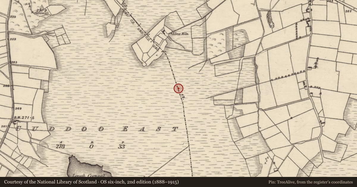 Ordnance Survey six-inch map, 2nd edition (1888–1915) covering the location of Boundary mound, Colmanstown, Cuddoo East, County Galway, with a pin at the register's coordinates