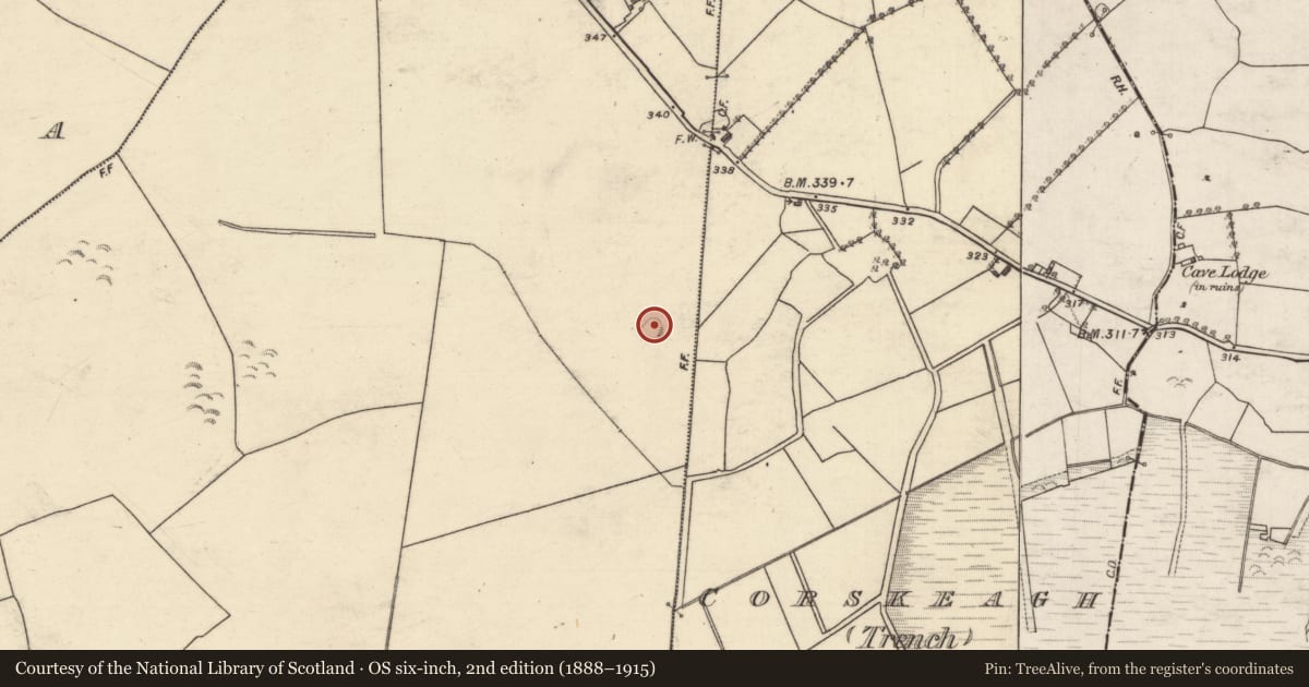 Ordnance Survey six-inch map, 2nd edition (1888–1915) covering the location of Ringfort - rath, Corskeagh (Daly), County Galway, with a pin at the register's coordinates