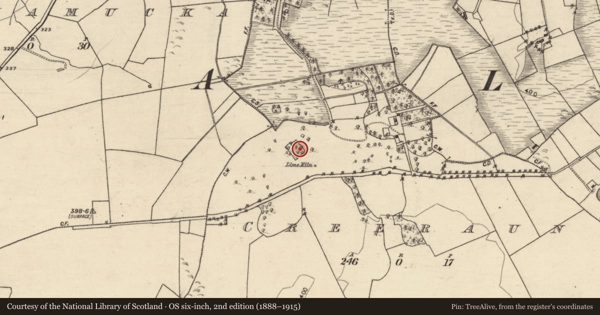 Ordnance Survey six-inch map, 2nd edition (1888–1915) covering the location of Moated site, Creeraun, County Galway, with a pin at the register's coordinates
