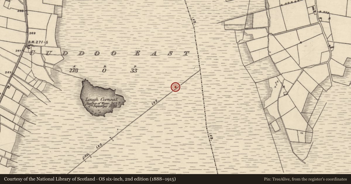 Ordnance Survey six-inch map, 2nd edition (1888–1915) covering the location of Boundary mound, Cuddoo East, Derroogh, County Galway, with a pin at the register's coordinates
