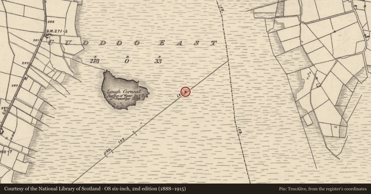 Ordnance Survey six-inch map, 2nd edition (1888–1915) covering the location of Boundary mound, Cuddoo East, Derroogh, County Galway, with a pin at the register's coordinates