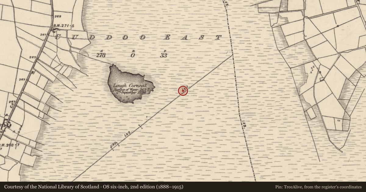 Ordnance Survey six-inch map, 2nd edition (1888–1915) covering the location of Boundary mound, Cuddoo East, Derroogh, County Galway, with a pin at the register's coordinates