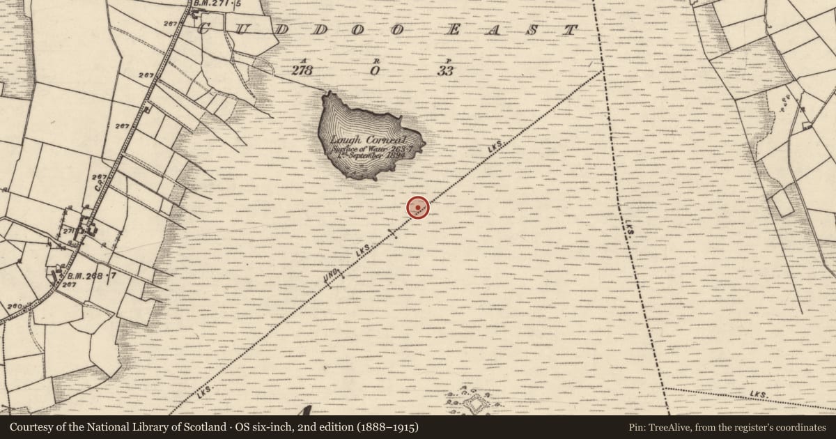 Ordnance Survey six-inch map, 2nd edition (1888–1915) covering the location of Boundary mound, Cuddoo East, Derroogh, County Galway, with a pin at the register's coordinates