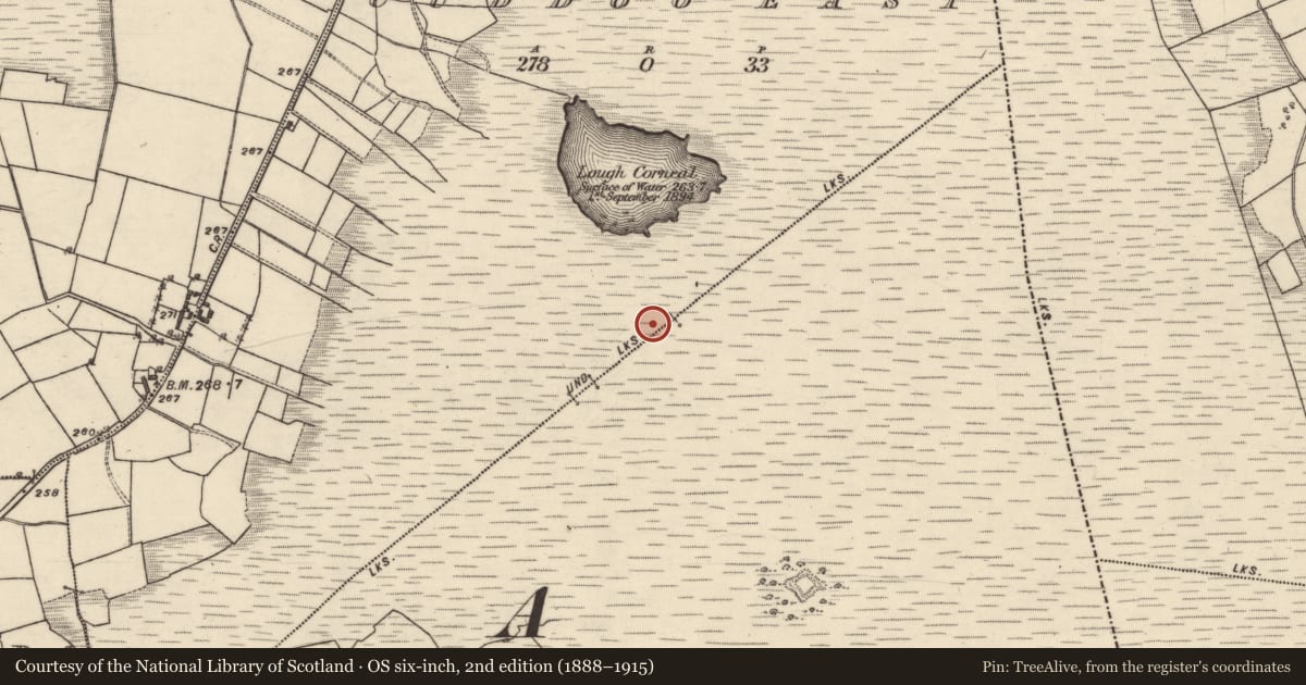 Ordnance Survey six-inch map, 2nd edition (1888–1915) covering the location of Boundary mound, Cuddoo East, Derroogh, County Galway, with a pin at the register's coordinates