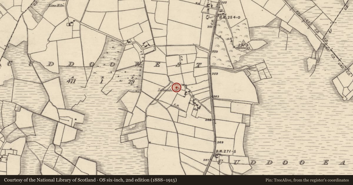Ordnance Survey six-inch map, 2nd edition (1888–1915) covering the location of Children's burial ground, Cuddoo West, County Galway, with a pin at the register's coordinates
