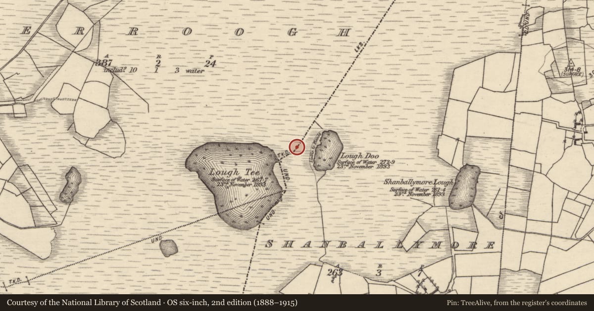 Ordnance Survey six-inch map, 2nd edition (1888–1915) covering the location of Boundary mound, Derroogh, Shanballymore, County Galway, with a pin at the register's coordinates