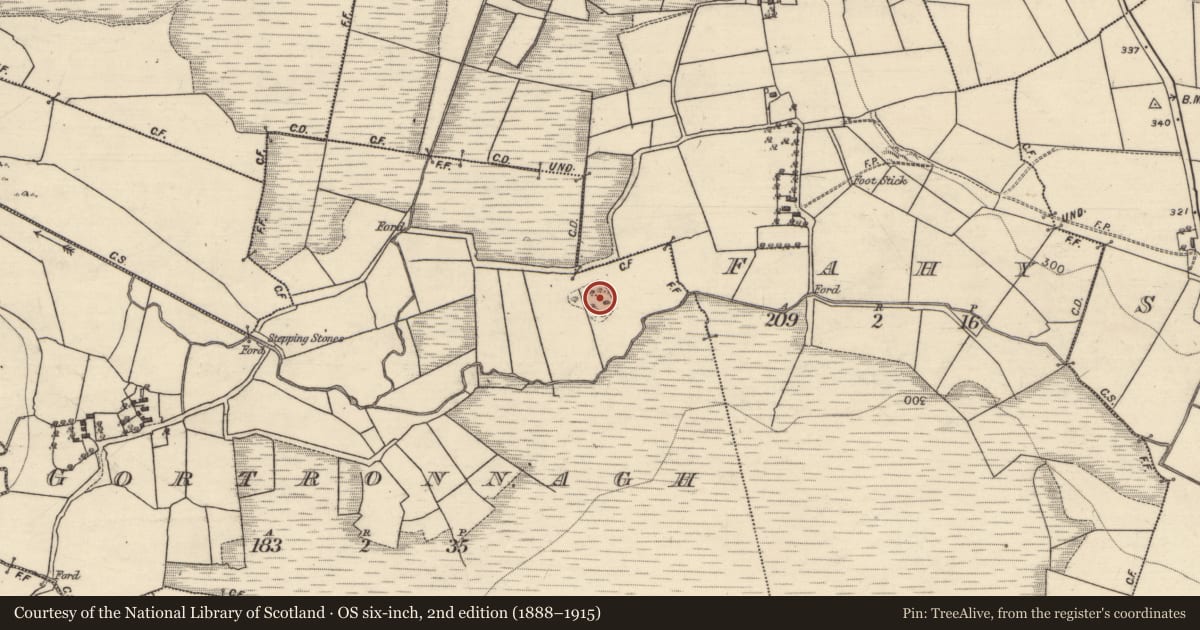 Ordnance Survey six-inch map, 2nd edition (1888–1915) covering the location of Enclosure, Gortronnagh, County Galway, with a pin at the register's coordinates