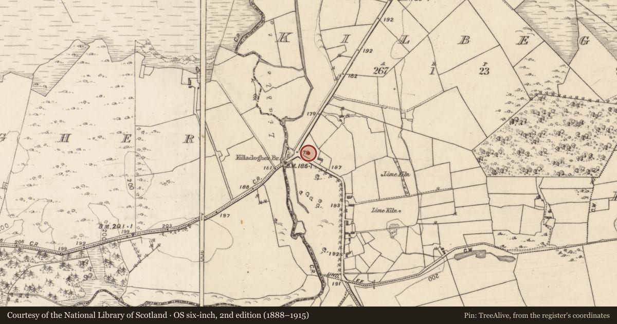 Ordnance Survey six-inch map, 2nd edition (1888–1915) covering the location of Megalithic tomb - wedge tomb, Kilbeg, County Galway, with a pin at the register's coordinates