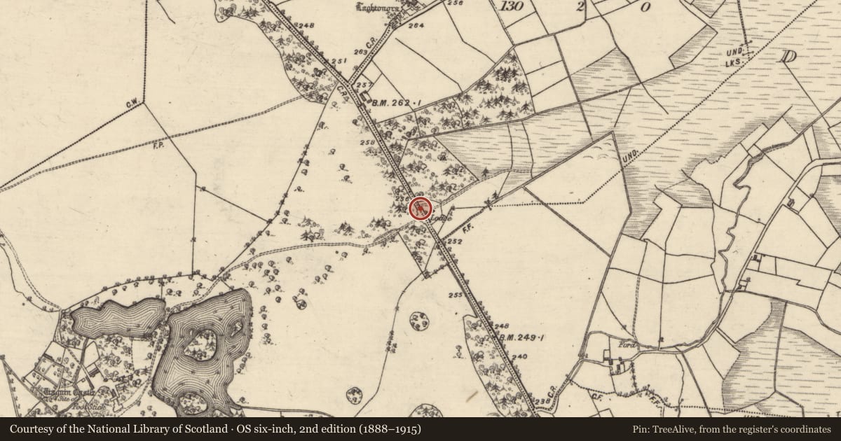 Ordnance Survey six-inch map, 2nd edition (1888–1915) covering the location of Gate lodge, Laghtonora, County Galway, with a pin at the register's coordinates