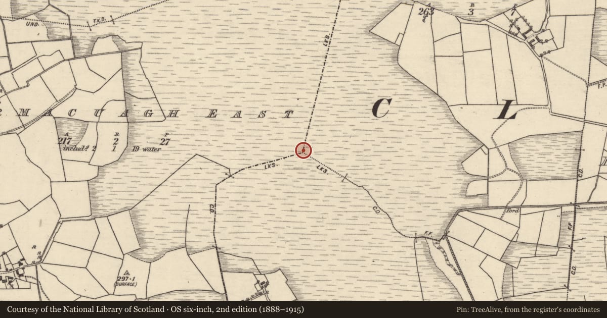 Ordnance Survey six-inch map, 2nd edition (1888–1915) covering the location of Boundary mound, County Galway, with a pin at the register's coordinates