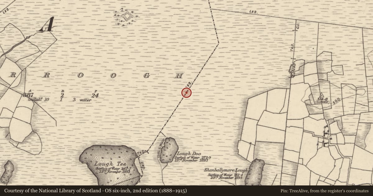 Ordnance Survey six-inch map, 2nd edition (1888–1915) covering the location of Boundary mound, Derroogh, Shanballymore, County Galway, with a pin at the register's coordinates