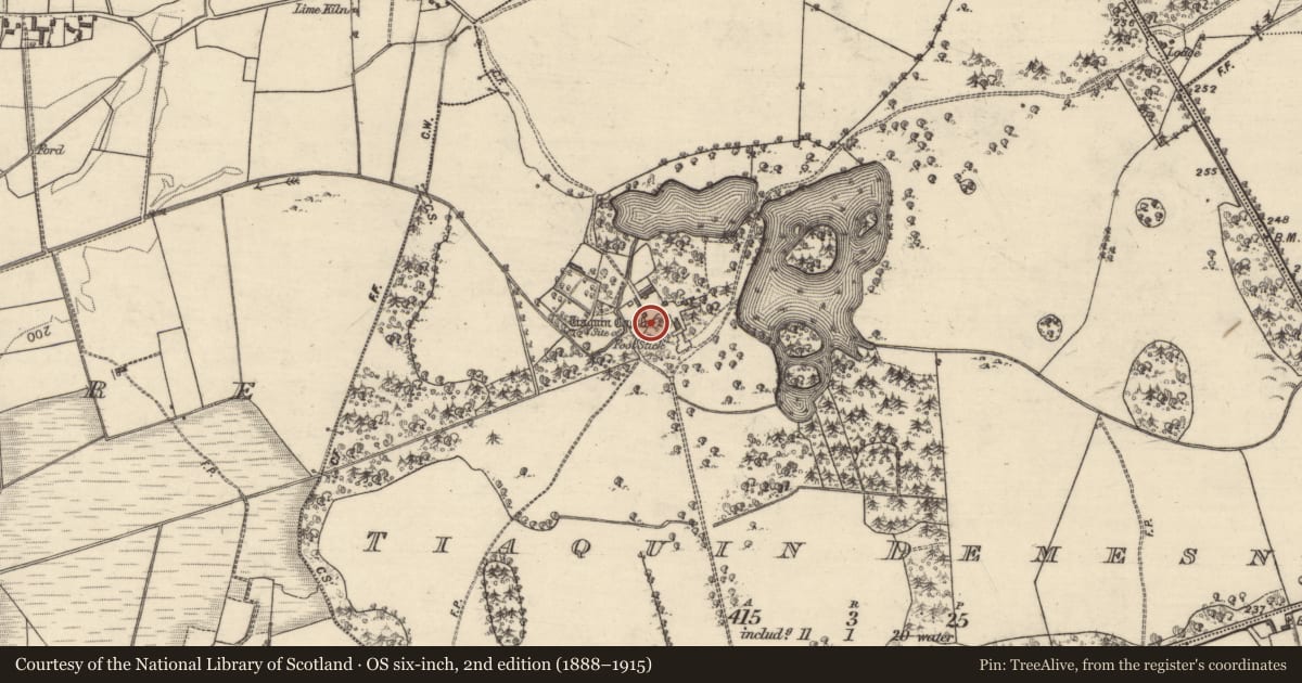 Ordnance Survey six-inch map, 2nd edition (1888–1915) covering the location of Castle - unclassified, Tiaquin Demesne, County Galway, with a pin at the register's coordinates