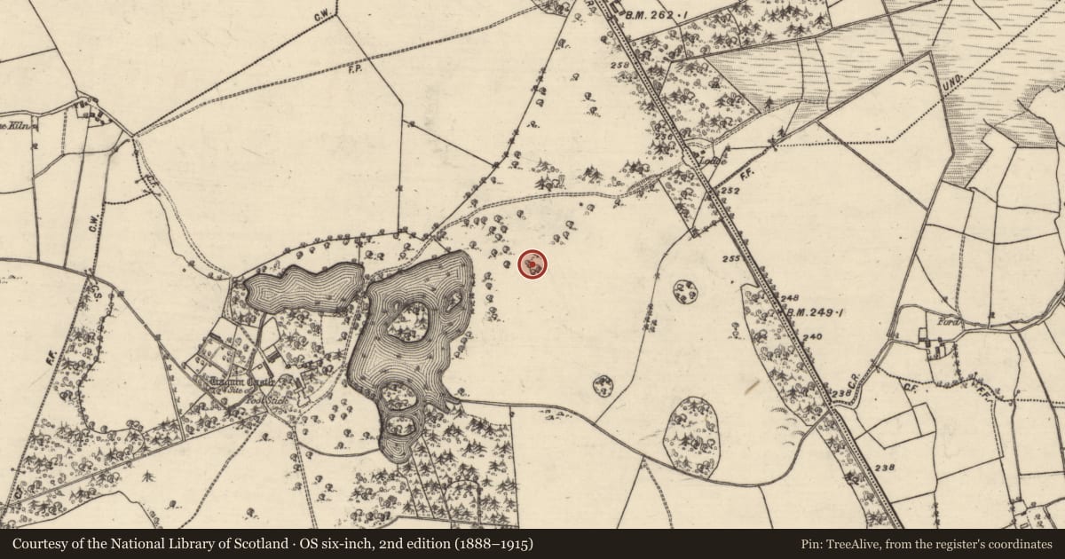 Ordnance Survey six-inch map, 2nd edition (1888–1915) covering the location of Enclosure, Tiaquin Demesne, County Galway, with a pin at the register's coordinates