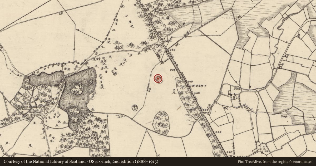 Ordnance Survey six-inch map, 2nd edition (1888–1915) covering the location of Enclosure, Tiaquin Demesne, County Galway, with a pin at the register's coordinates
