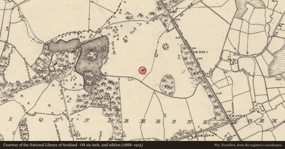 Ordnance Survey six-inch map, 2nd edition (1888–1915) covering the location of Enclosure, Tiaquin Demesne, County Galway, with a pin at the register's coordinates