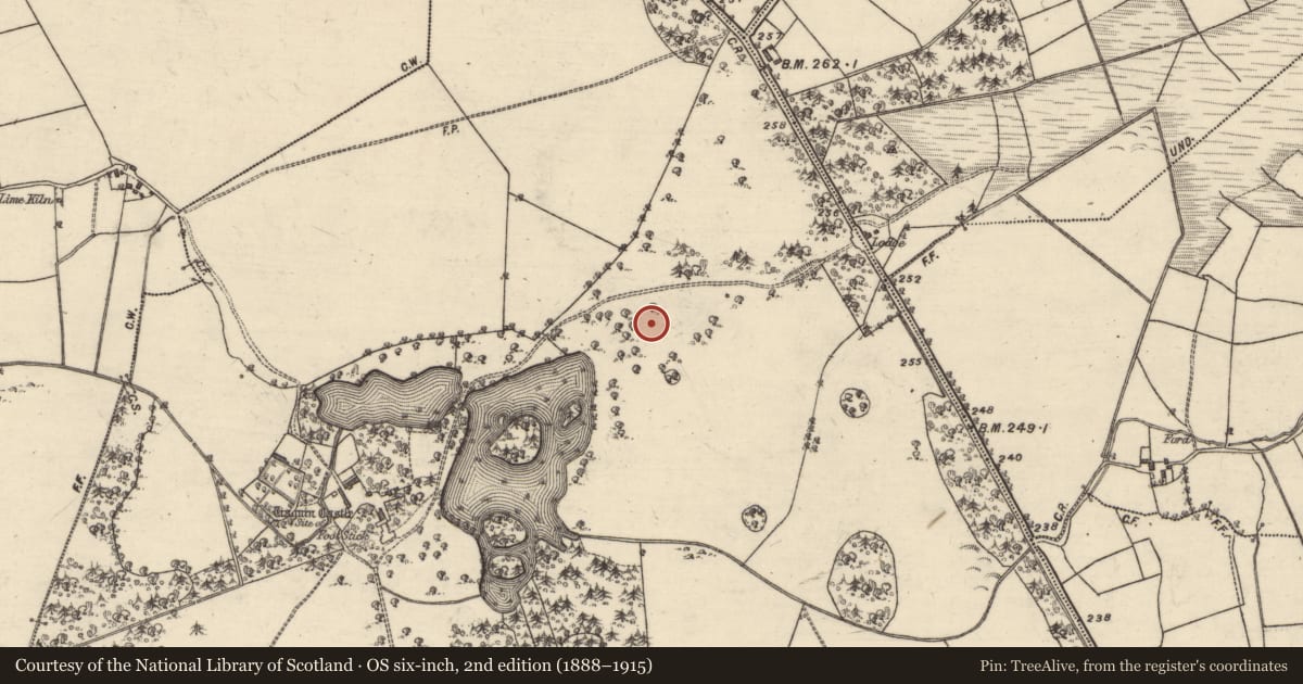 Ordnance Survey six-inch map, 2nd edition (1888–1915) covering the location of Enclosure, Tiaquin Demesne, County Galway, with a pin at the register's coordinates