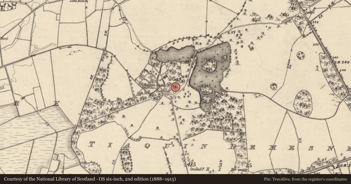 Ordnance Survey six-inch map, 2nd edition (1888–1915) covering the location of Country house, Tiaquin Demesne, County Galway, with a pin at the register's coordinates