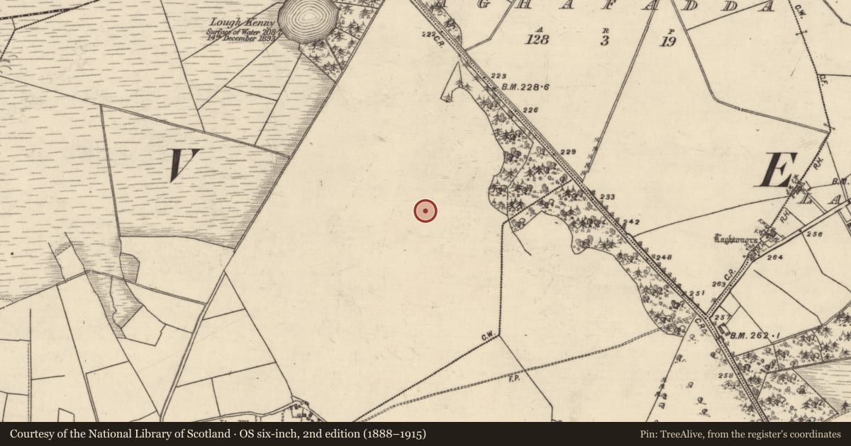 Ordnance Survey six-inch map, 2nd edition (1888–1915) covering the location of Enclosure, Lenamore, County Galway, with a pin at the register's coordinates