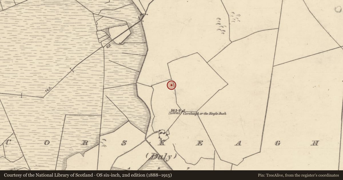 Ordnance Survey six-inch map, 2nd edition (1888–1915) covering the location of Children's burial ground, Corskeagh (Daly), County Galway, with a pin at the register's coordinates