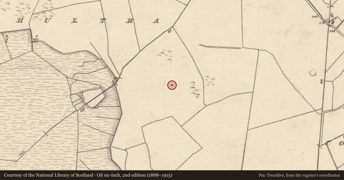 Ordnance Survey six-inch map, 2nd edition (1888–1915) covering the location of Enclosure, Corskeagh (Daly), County Galway, with a pin at the register's coordinates