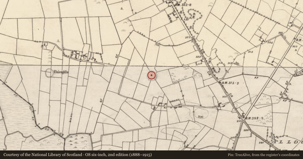 Ordnance Survey six-inch map, 2nd edition (1888–1915) covering the location of Ringfort - rath, Alloon Upper, County Galway, with a pin at the register's coordinates