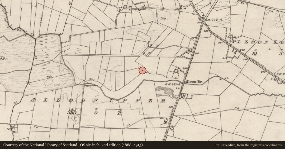 Ordnance Survey six-inch map, 2nd edition (1888–1915) covering the location of Ringfort - unclassified, Alloon Upper, County Galway, with a pin at the register's coordinates