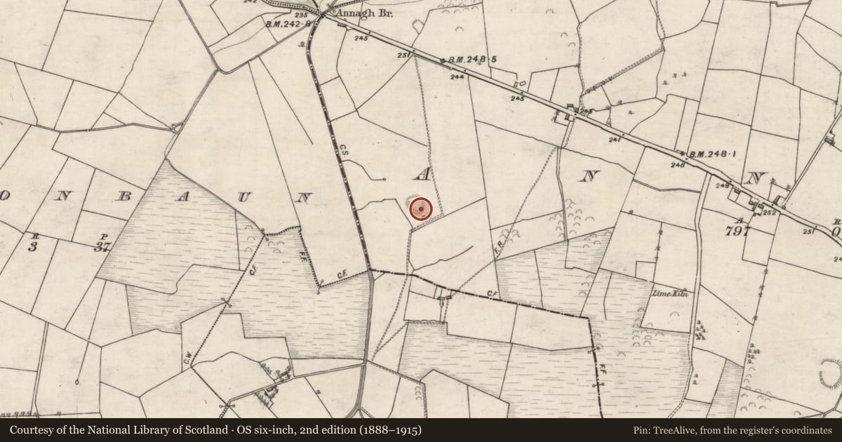 Ordnance Survey six-inch map, 2nd edition (1888–1915) covering the location of Ringfort - unclassified, Annagh, County Galway, with a pin at the register's coordinates