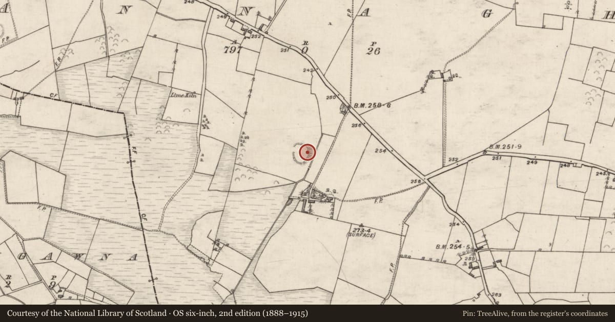Ordnance Survey six-inch map, 2nd edition (1888–1915) covering the location of Enclosure, Annagh, County Galway, with a pin at the register's coordinates