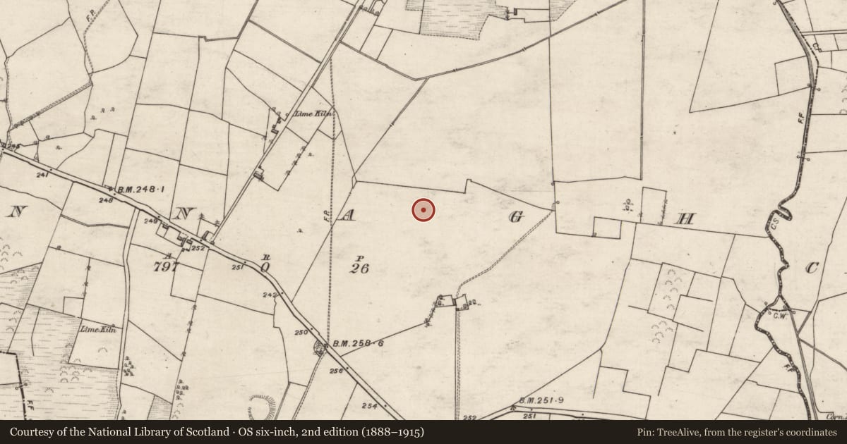 Ordnance Survey six-inch map, 2nd edition (1888–1915) covering the location of Quarry, Annagh, County Galway, with a pin at the register's coordinates