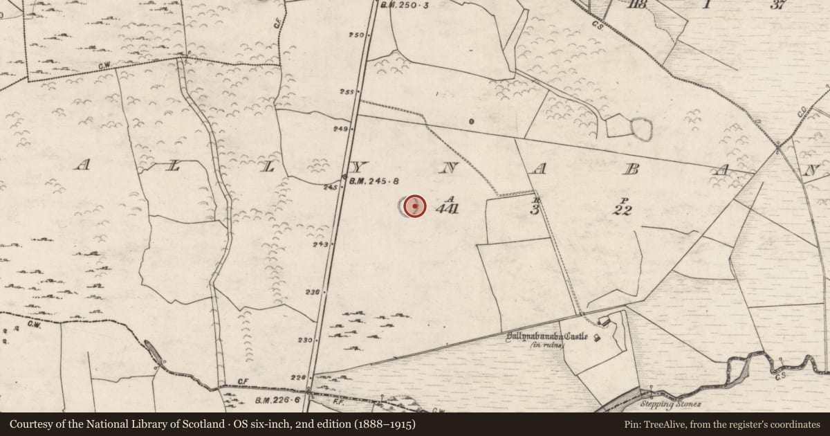 Ordnance Survey six-inch map, 2nd edition (1888–1915) covering the location of Ringfort - unclassified, Ballynabanaba, County Galway, with a pin at the register's coordinates