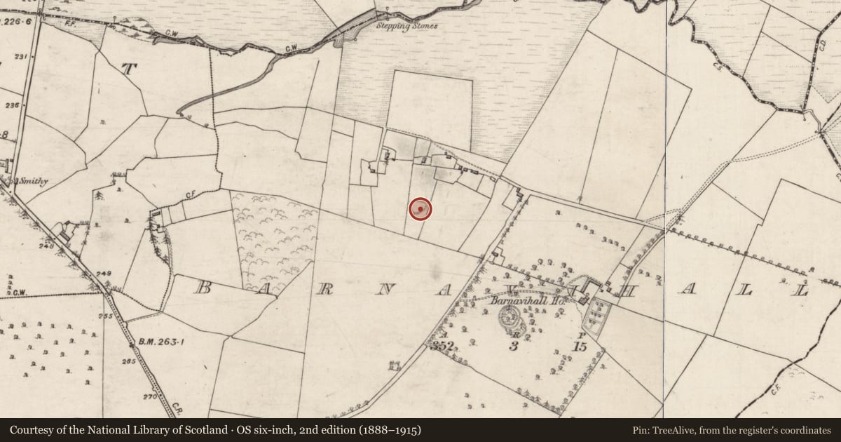 Ordnance Survey six-inch map, 2nd edition (1888–1915) covering the location of Ringfort - rath, Barnavihall, County Galway, with a pin at the register's coordinates