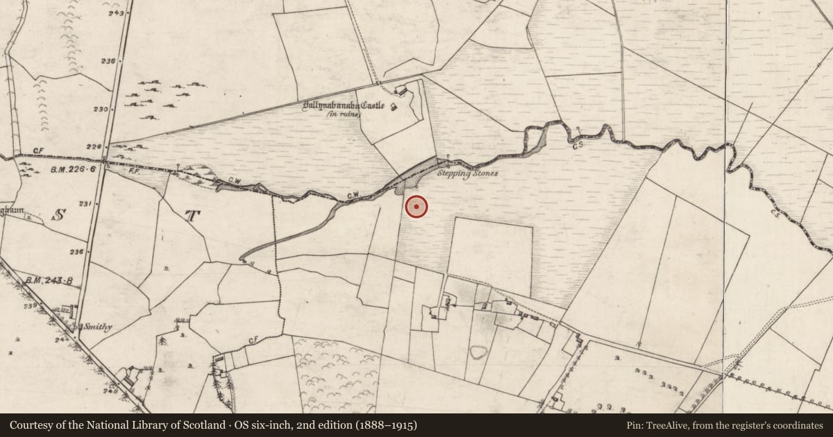 Ordnance Survey six-inch map, 2nd edition (1888–1915) covering the location of Quarry, Barnavihall, County Galway, with a pin at the register's coordinates