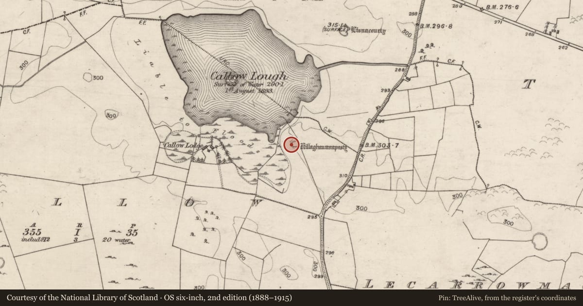 Ordnance Survey six-inch map, 2nd edition (1888–1915) covering the location of Children's burial ground, Callow, County Galway, with a pin at the register's coordinates