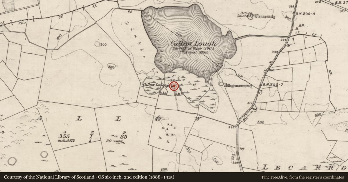 Ordnance Survey six-inch map, 2nd edition (1888–1915) covering the location of Castle - unclassified, Callow, County Galway, with a pin at the register's coordinates