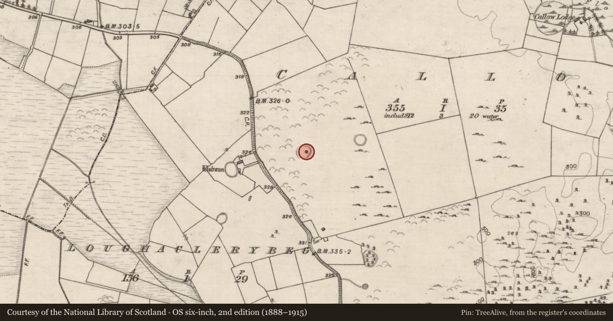 Ordnance Survey six-inch map, 2nd edition (1888–1915) covering the location of Ringfort - unclassified, Callow, County Galway, with a pin at the register's coordinates