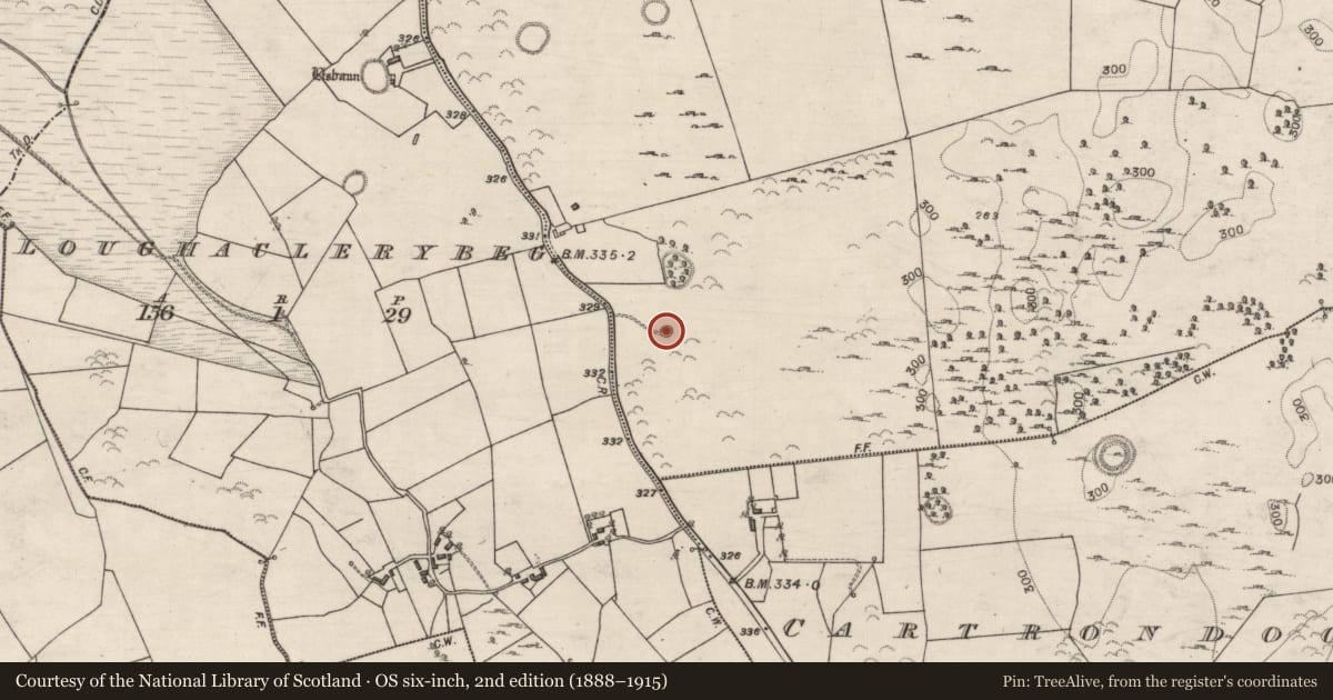 Ordnance Survey six-inch map, 2nd edition (1888–1915) covering the location of Quarry, Callow, County Galway, with a pin at the register's coordinates