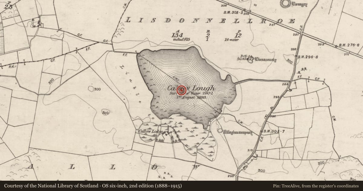 Ordnance Survey six-inch map, 2nd edition (1888–1915) covering the location of Crannog, Callow, County Galway, with a pin at the register's coordinates