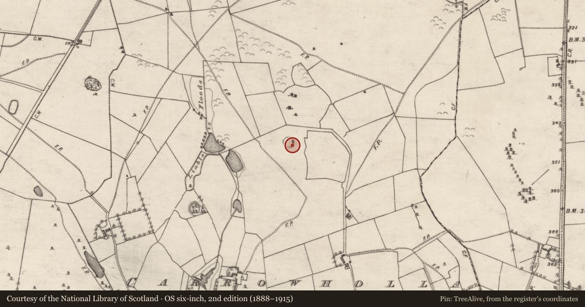 Ordnance Survey six-inch map, 2nd edition (1888–1915) covering the location of Ringfort - unclassified, Carrowholla, County Galway, with a pin at the register's coordinates
