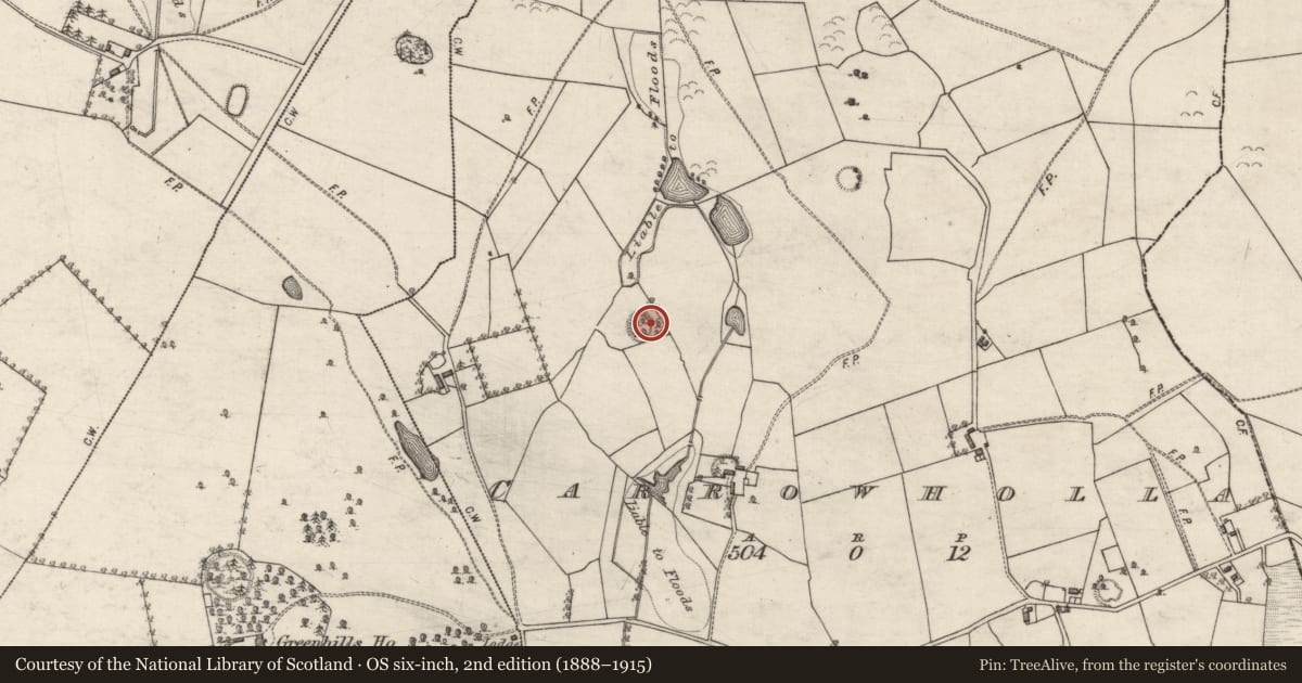 Ordnance Survey six-inch map, 2nd edition (1888–1915) covering the location of Ringfort - unclassified, Carrowholla, County Galway, with a pin at the register's coordinates