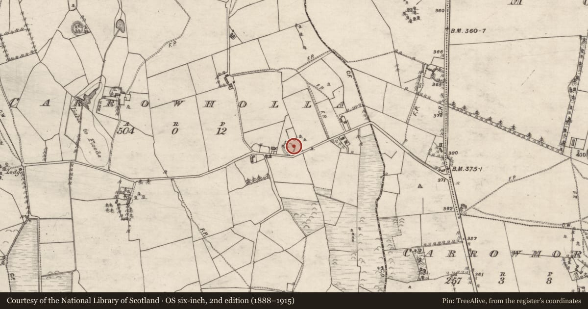 Ordnance Survey six-inch map, 2nd edition (1888–1915) covering the location of Ringfort - unclassified, Carrowholla, County Galway, with a pin at the register's coordinates