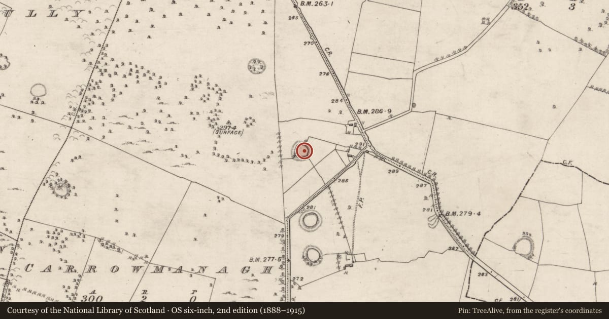 Ordnance Survey six-inch map, 2nd edition (1888–1915) covering the location of Ringfort - unclassified, Carrowmanagh, County Galway, with a pin at the register's coordinates