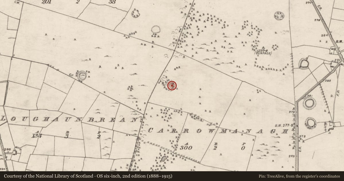 Ordnance Survey six-inch map, 2nd edition (1888–1915) covering the location of Enclosure, Carrowmanagh, County Galway, with a pin at the register's coordinates