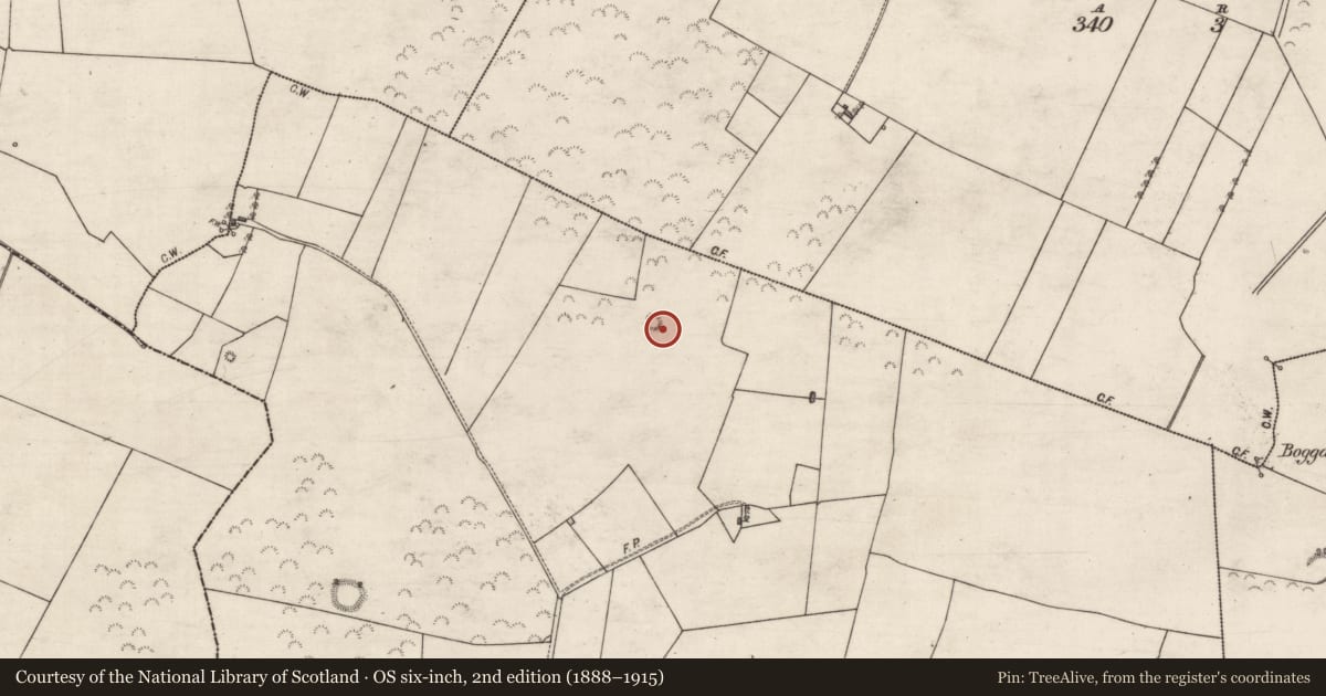 Ordnance Survey six-inch map, 2nd edition (1888–1915) covering the location of Enclosure, Carrowreagh, County Galway, with a pin at the register's coordinates