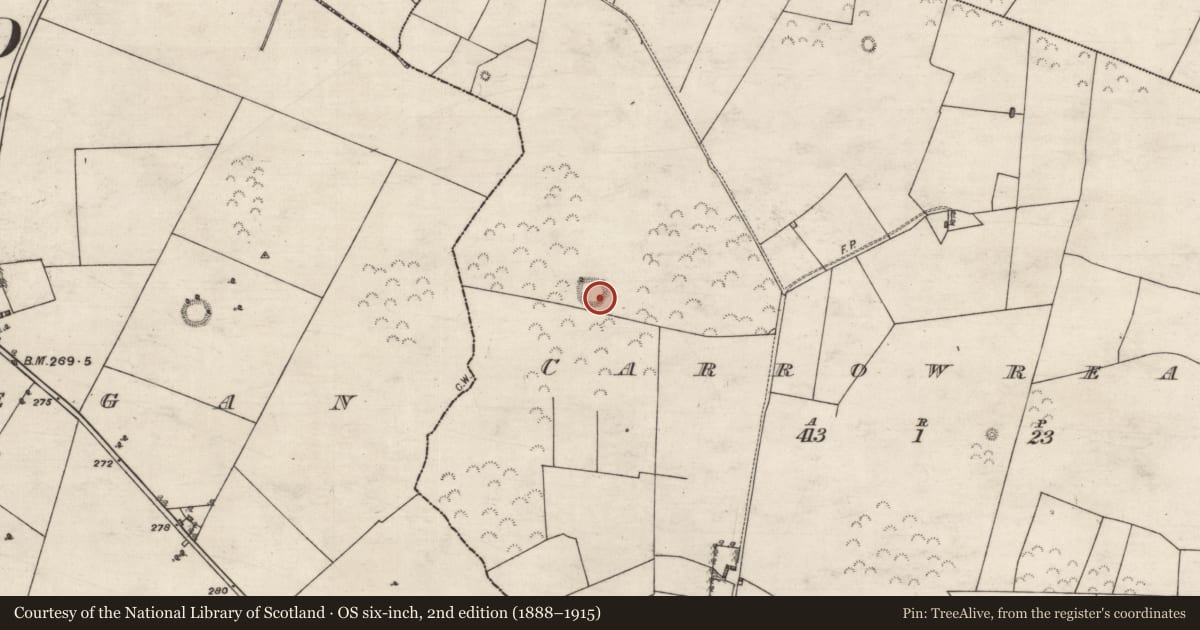 Ordnance Survey six-inch map, 2nd edition (1888–1915) covering the location of Ringfort - unclassified, Carrowreagh, County Galway, with a pin at the register's coordinates