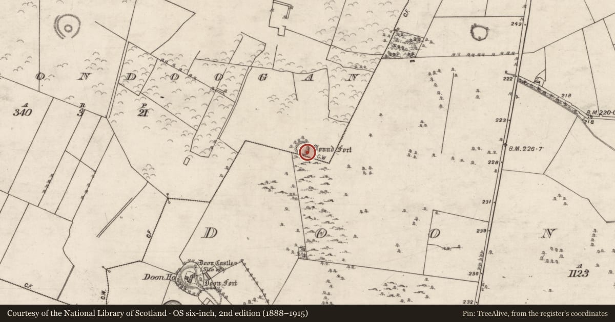 Ordnance Survey six-inch map, 2nd edition (1888–1915) covering the location of Ringfort - unclassified, Cartrondoogan, County Galway, with a pin at the register's coordinates