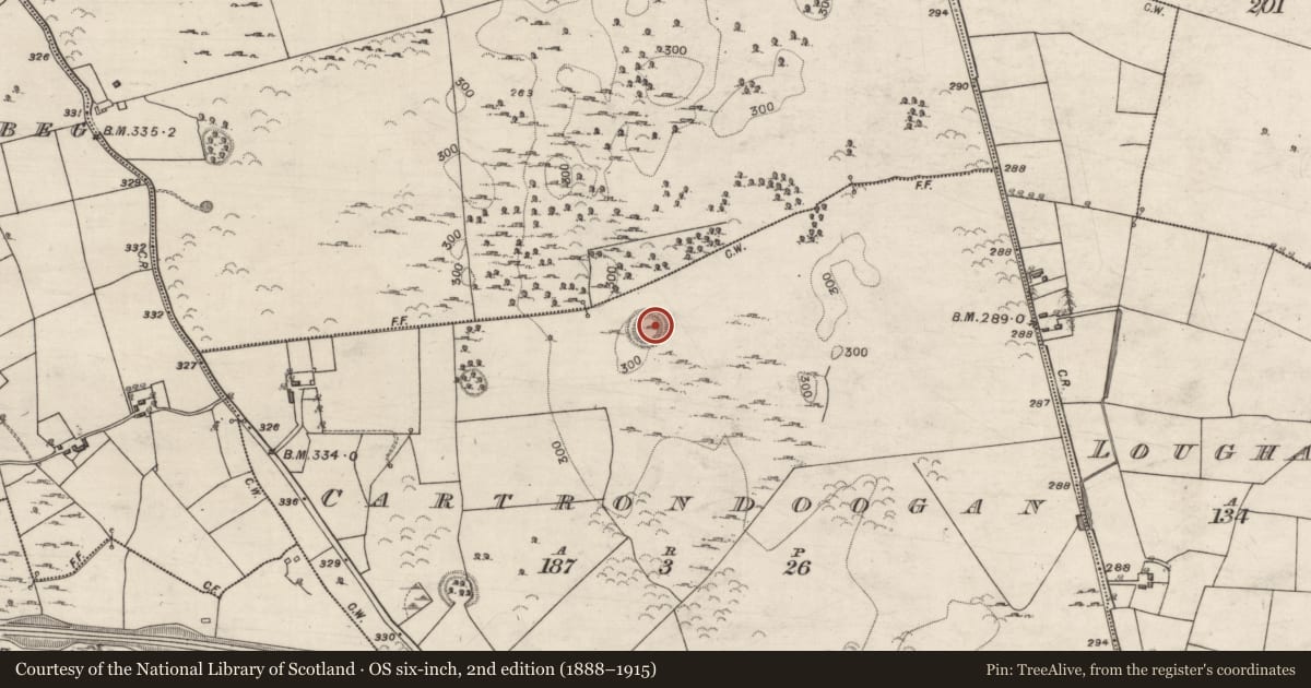 Ordnance Survey six-inch map, 2nd edition (1888–1915) covering the location of Ringfort - unclassified, Cartrondoogan, County Galway, with a pin at the register's coordinates