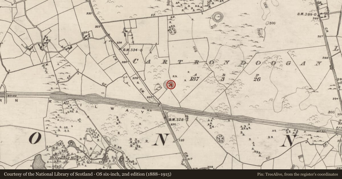 Ordnance Survey six-inch map, 2nd edition (1888–1915) covering the location of Souterrain, Cartrondoogan, County Galway, with a pin at the register's coordinates