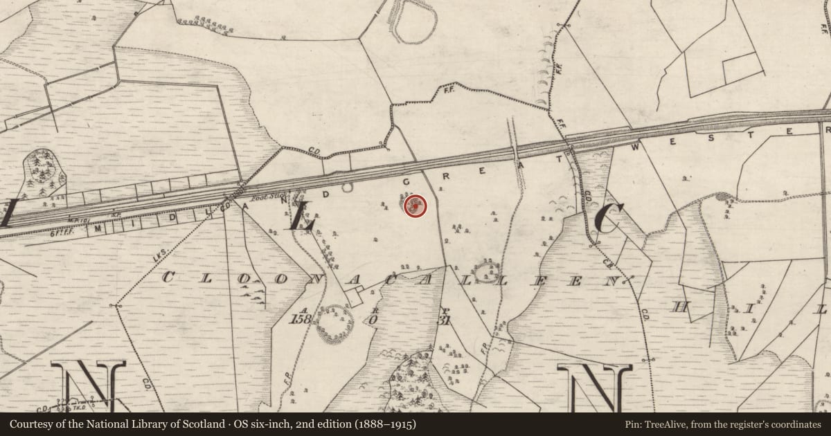 Ordnance Survey six-inch map, 2nd edition (1888–1915) covering the location of Ringfort - unclassified, Cloonacalleen, County Galway, with a pin at the register's coordinates